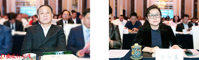 王跃军,林小美出席推介会.jpg 王跃军,林小美出席推介会.jpg