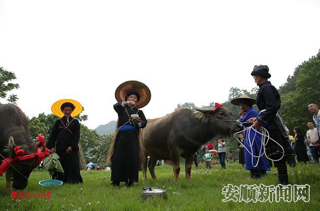 洗牛 (3).JPG