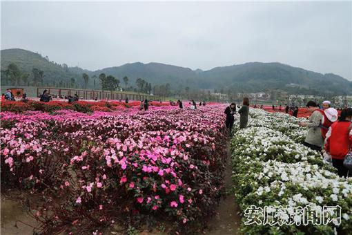 220929DD-5CB8-4F7C-92AB-8B8F9D740659_IMAGE_3_LOW_0.jpg 220929DD-5CB8-4F7C-92AB-8B8F9D740659_IMAGE_3_LOW_0.jpg