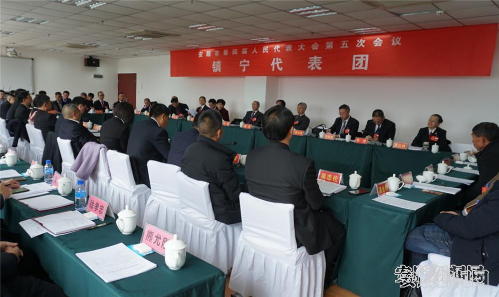 杨华昌参加镇宁代表团审议