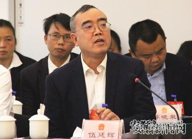 话题：做强工业经济推进转型升级——市人大代表伍廷辉