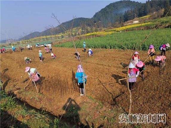药王谷复工复产.jpg 药王谷复工复产.jpg
