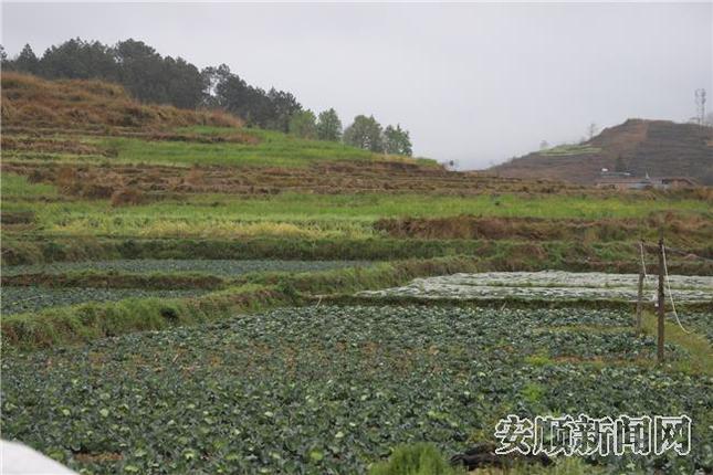 猫场坝区.jpg 猫场坝区.jpg