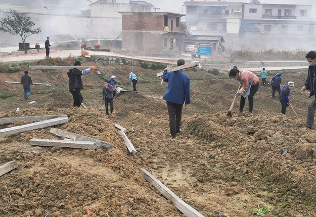 桐上村村民们在瓜蒌种植带里犁土立桩.jpg
