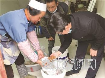 西秀大黑村：水稻品种怎么选 专家指导帮解惑 