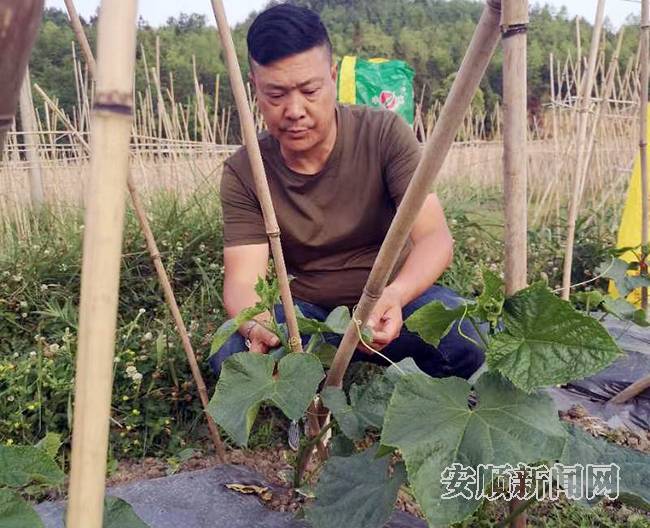 退役不退志 奋力谱新篇——访全省优秀党务工作者、西秀区旧州镇茶岭村党总支部书记林显才
