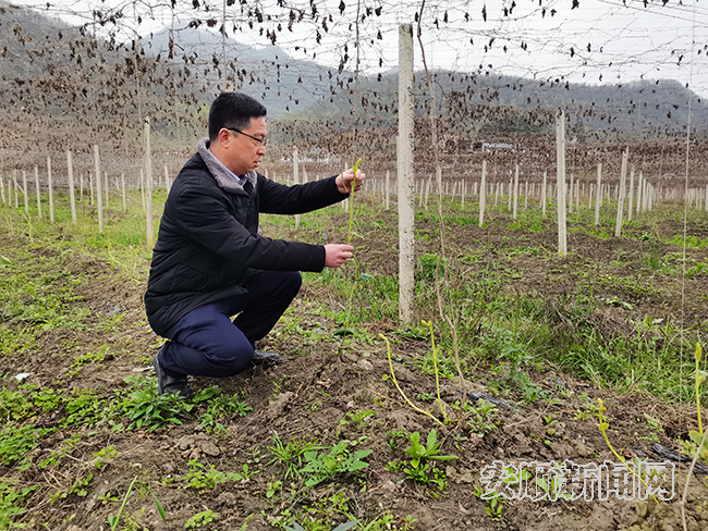 敢抓敢管  敢闯敢干——全省优秀共产党员、镇宁自治县交通运输局（县交通战备办公室）党组书记郭星