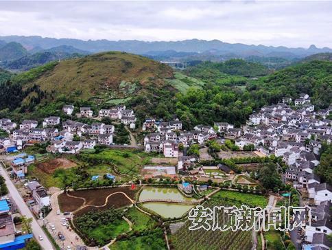 关岭石板井村：干群同心共建美丽家园
