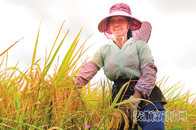 欢欢喜喜庆丰收