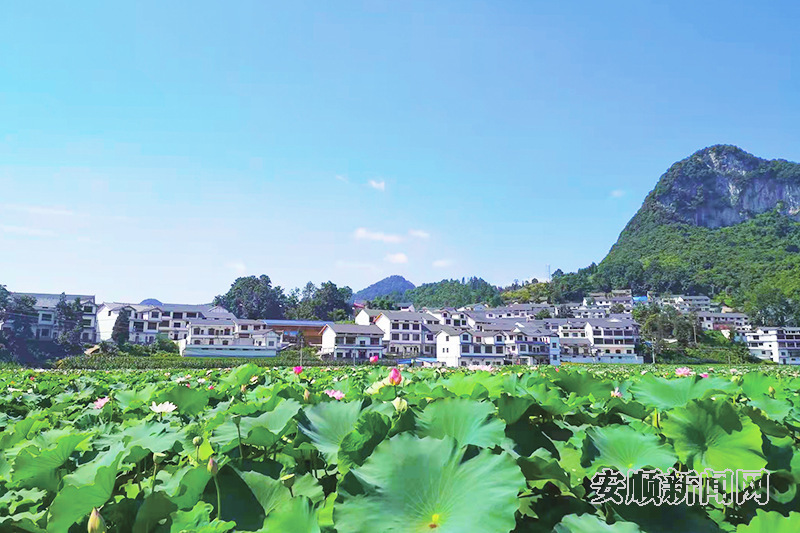 普定化处镇：和谐家园处处景