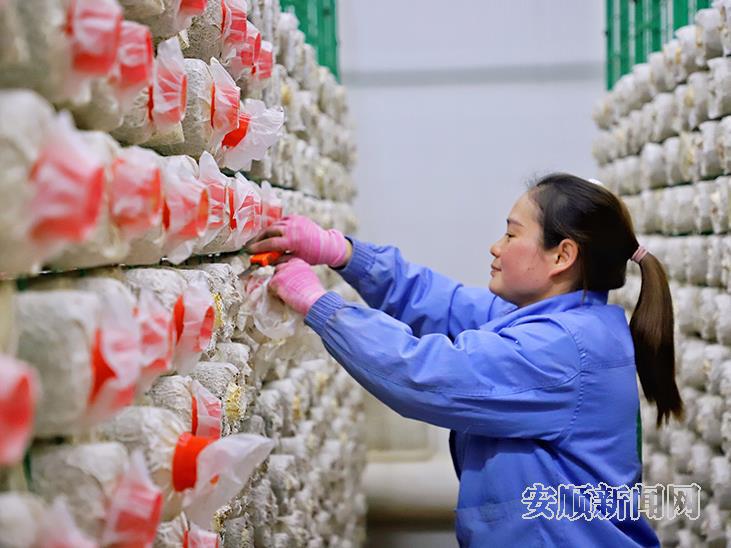 贵州浩润臻源食品有限公司：加足马力忙生产，奋力实现“开门稳”