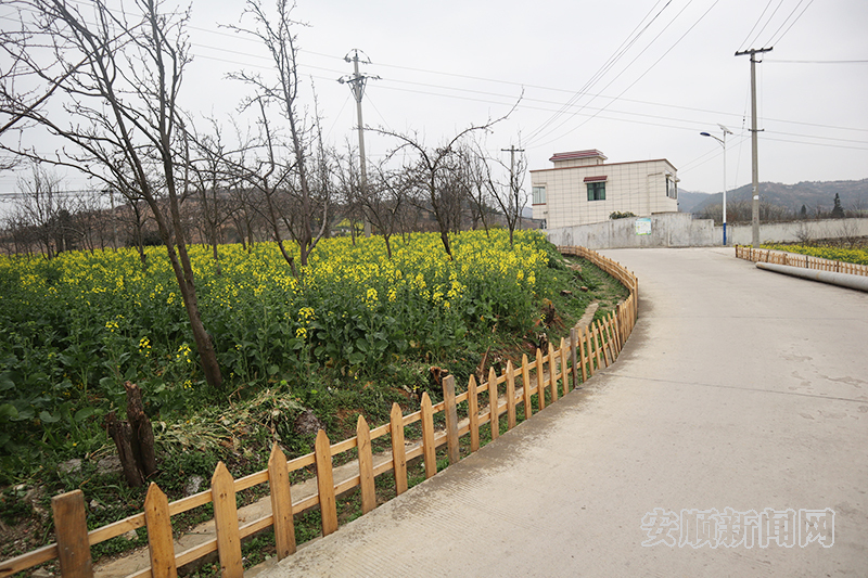 蔡官镇王家庄村：环境整治 让乡村更宜居