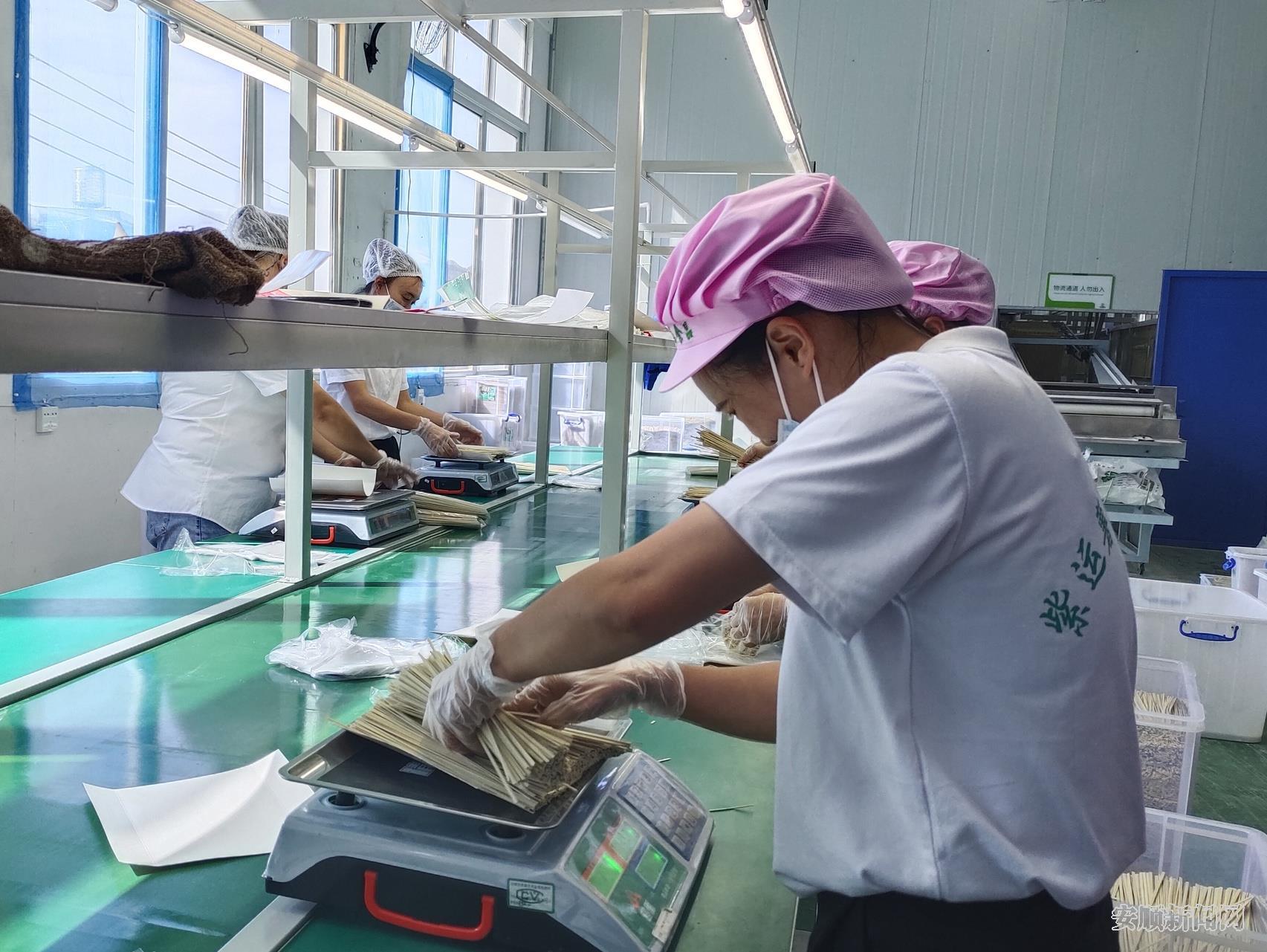 三产齐发力 小镇显活力——猫营镇三产融合赋能乡村振兴观察