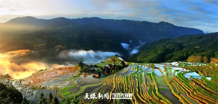 1651317958823140.png 3_副本.png
