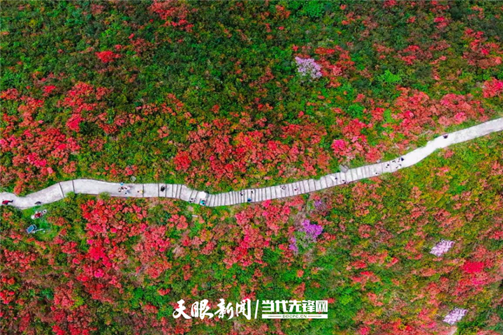1651318015445127.png 5_副本.png