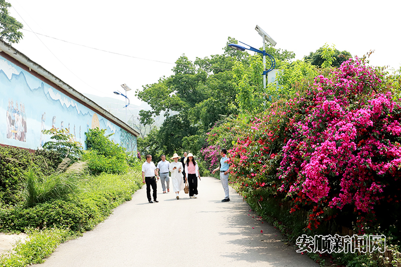 黄果树募龙村：产业添富路 山村焕新颜