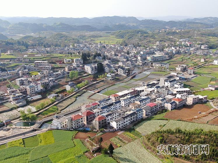 平坝大屯村：用好资源优势 逐梦乡村振兴大舞台