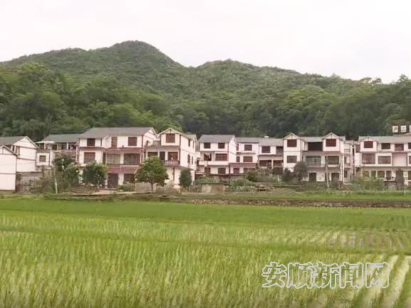 普定陇财村： 乡风文明“点亮”美丽乡村
