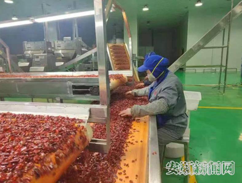 贵州西秀翠宏食品有限公司：铆足干劲忙生产 全力冲刺“开门红”