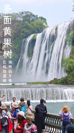 1680424912730829.jpg 黄果树.jpg