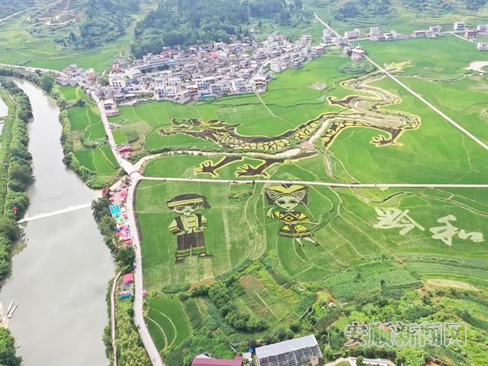 平坝羊昌乡：乡村旅游提质升级 全面助力乡村振兴