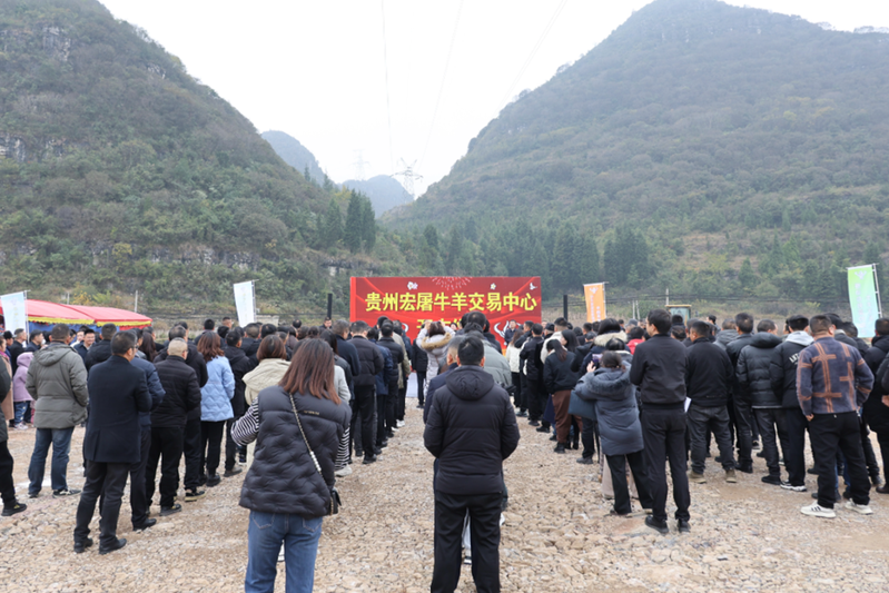 QQ截图20241209225113.png