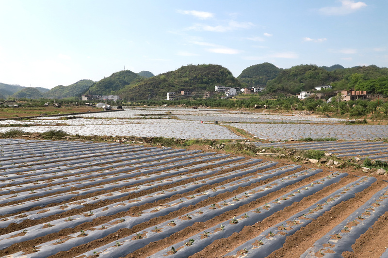蔬菜基地-FZ1002628179.jpg