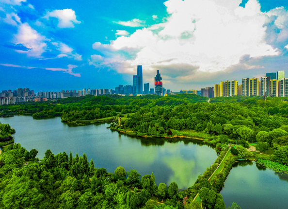 1717748531233102_compress.jpg DJI_0054.JPG