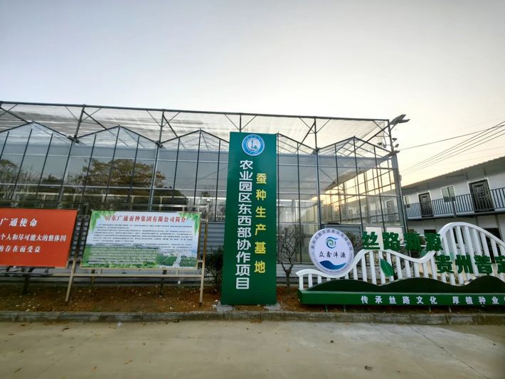 贵州众鑫沣源蚕业有限公司蚕桑养殖基地.jpg