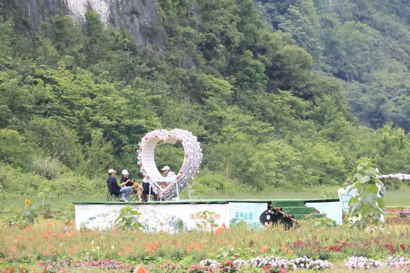 龙宫花之奇缘:以花为媒 绽放乡村振兴新图-FZ1002856611.JPG