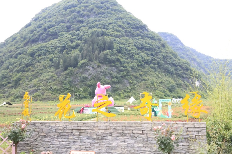 龙宫花之奇缘:以花为媒 绽放乡村振兴新图-FZ1002856615.JPG