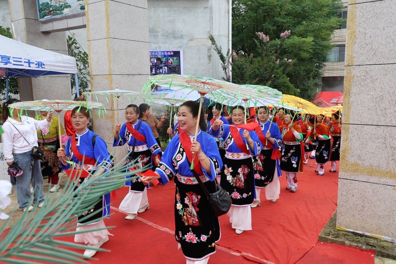 巡游中,关公神轿庄严前行,身着传统凤阳汉-FZ1002871983.JPG