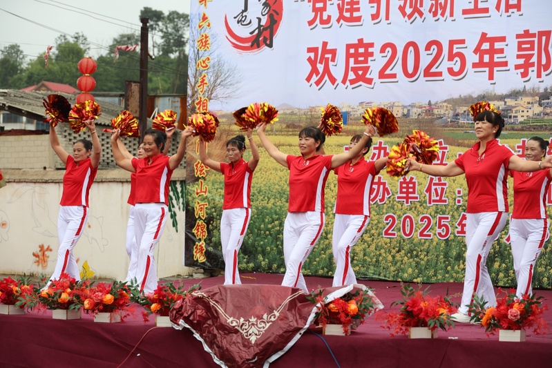 舞蹈演出-FZ1002871930.JPG