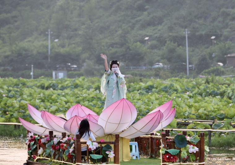 安顺经开区2025年“荷你乡约”十里荷廊-FZ1002927616.jpg