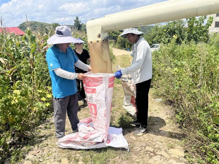 机械化采收高粱.jpg