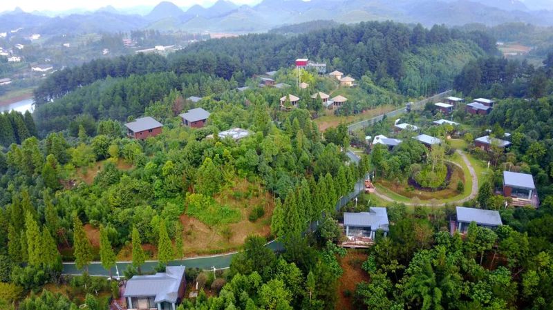 九龙山国家级森林公园借助良好生态发展康养-FZ10021263910.jpg